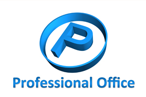 Professional Office Ltd