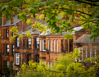 Landlords back minimum housing standards, new survey shows 