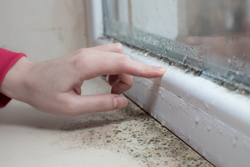 Labour to force strict repair and anti-mould rules on private landlords