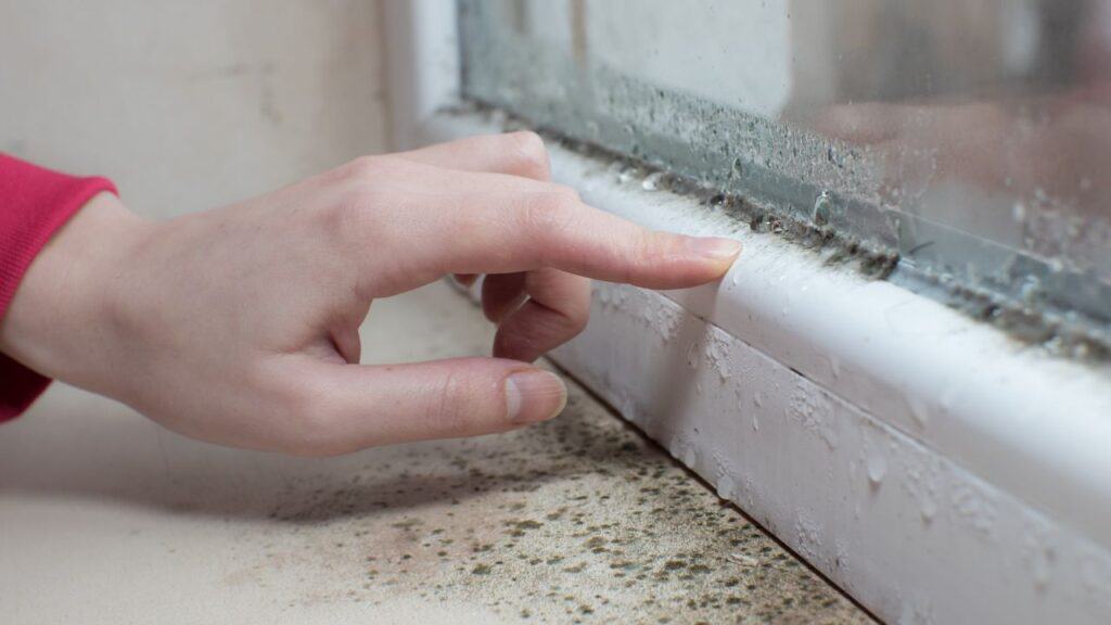 Landlord neglect left property with mould and no hot water